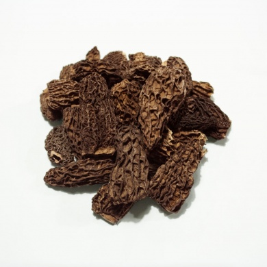 12-morilles-himalaya-jb-morilles
