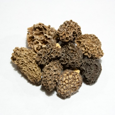 50-morilles-delice-dieux-jb-morilles