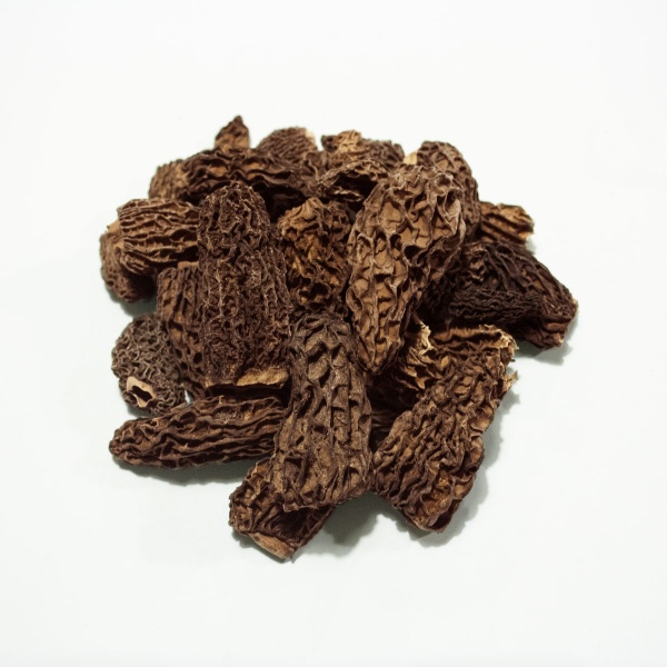 12-morilles-himalaya-jb-morilles