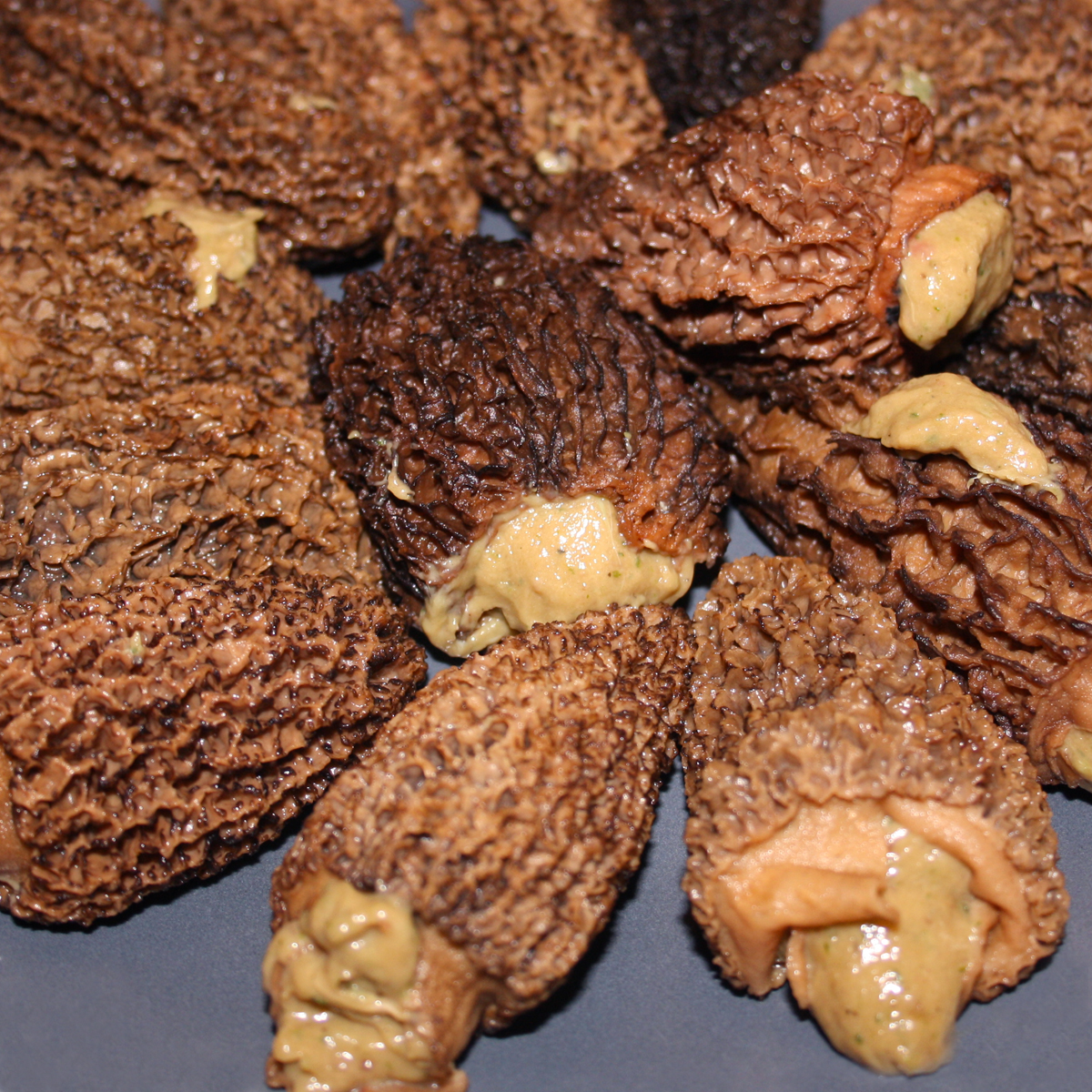 Morilles Jumbo farcies