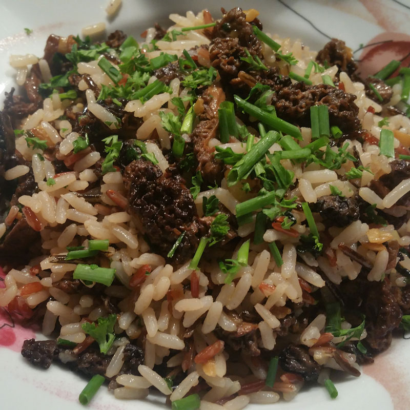 Entremêlé de Morilles de Patagonie et riz sauvage