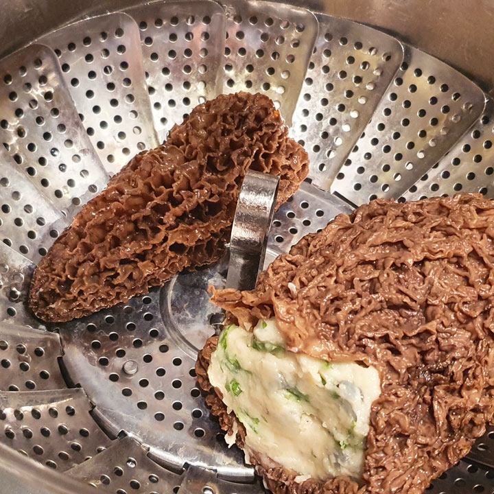 JB Morilles morilles makis Virginie 10