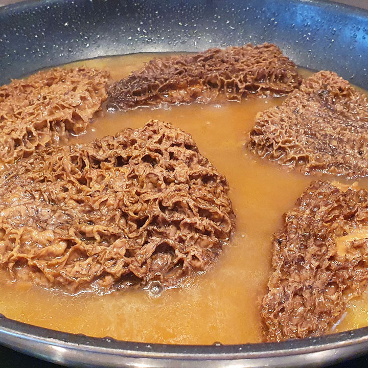 JB Morilles morilles makis Virginie 2