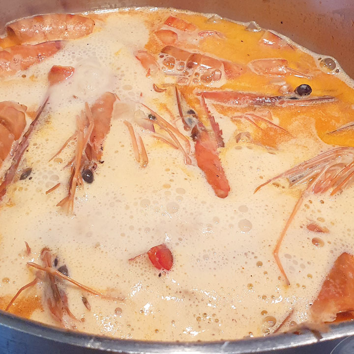 JB Morilles morilles makis Virginie 5