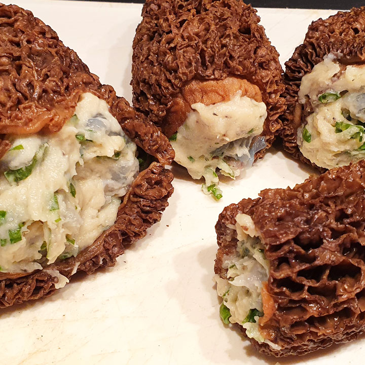 JB Morilles morilles makis Virginie 9